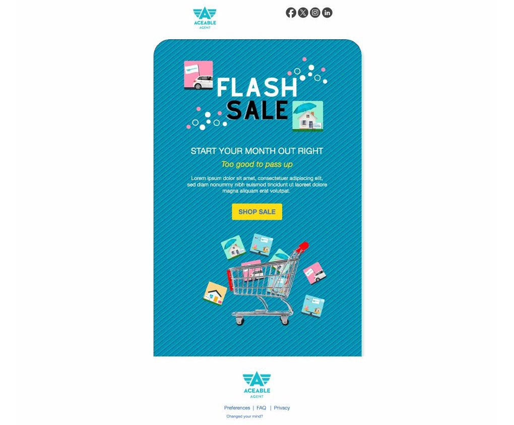 Flash Sale — Aceable